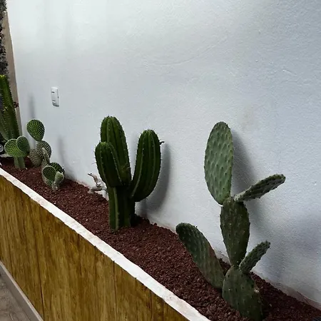 Splendid Casa Nostra, Private Pool, Wifi, Garden Вилла