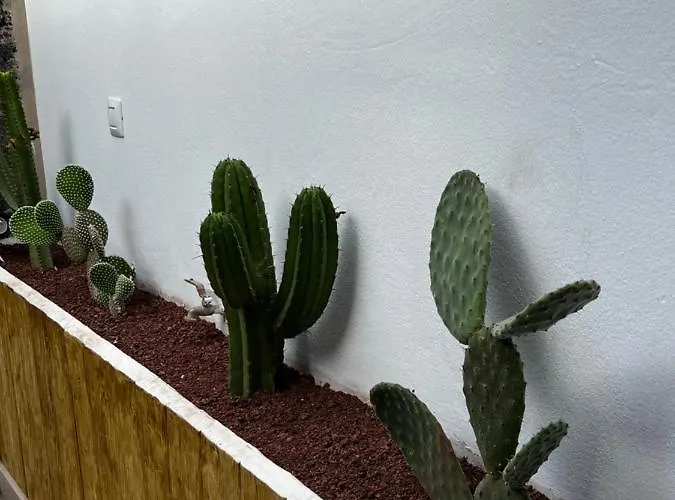 Splendid Casa Nostra, Private Pool, Wifi, Garden Вилла